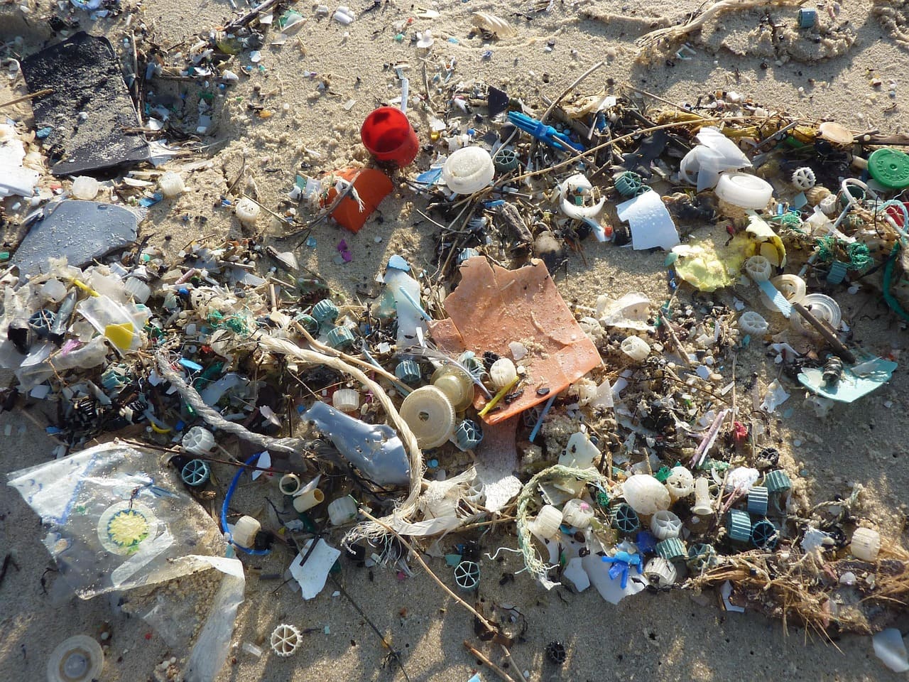 plastic waste on a beach